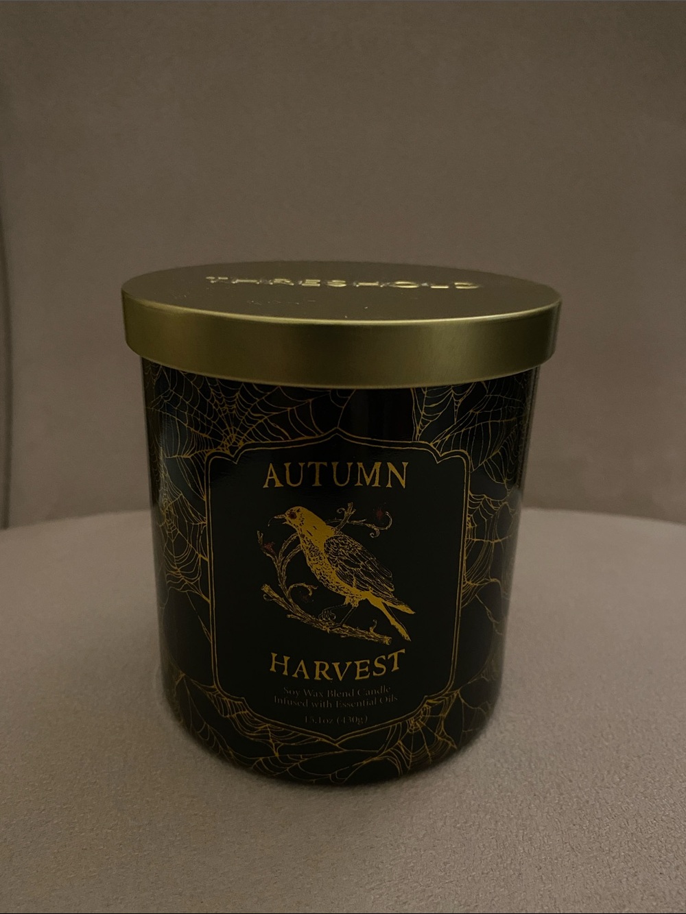 Target Threshold Autumn Harvest 2-wick candle